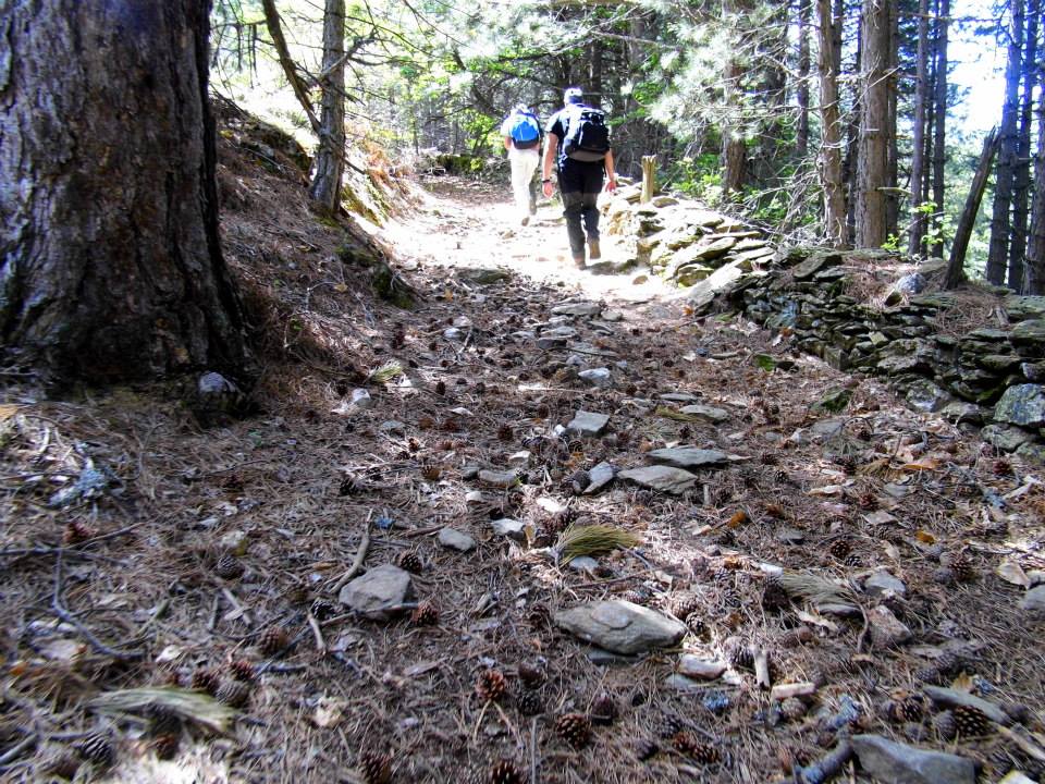 EyyÃƒÂƒÃ‚ÂƒÃƒÂ‚Ã‚Â¼p Selek Objektif 011.jpg