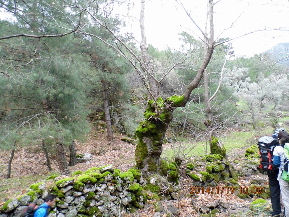 EyyÃƒÂƒÃ‚ÂƒÃƒÂ‚Ã‚Â¼p Selek Objektif - 011.jpg