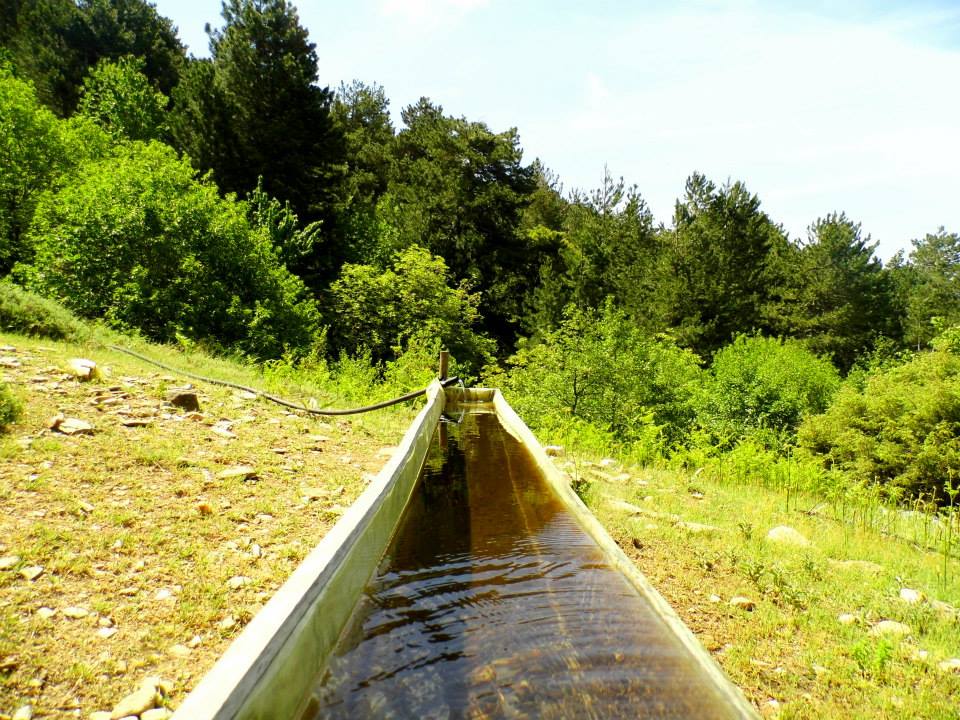 EyyÃƒÂƒÃ‚ÂƒÃƒÂ‚Ã‚Â¼p Selek Objektif 012.jpg