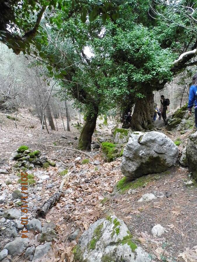 EyyÃƒÂƒÃ‚ÂƒÃƒÂ‚Ã‚Â¼p Selek Objektif - 012.jpg