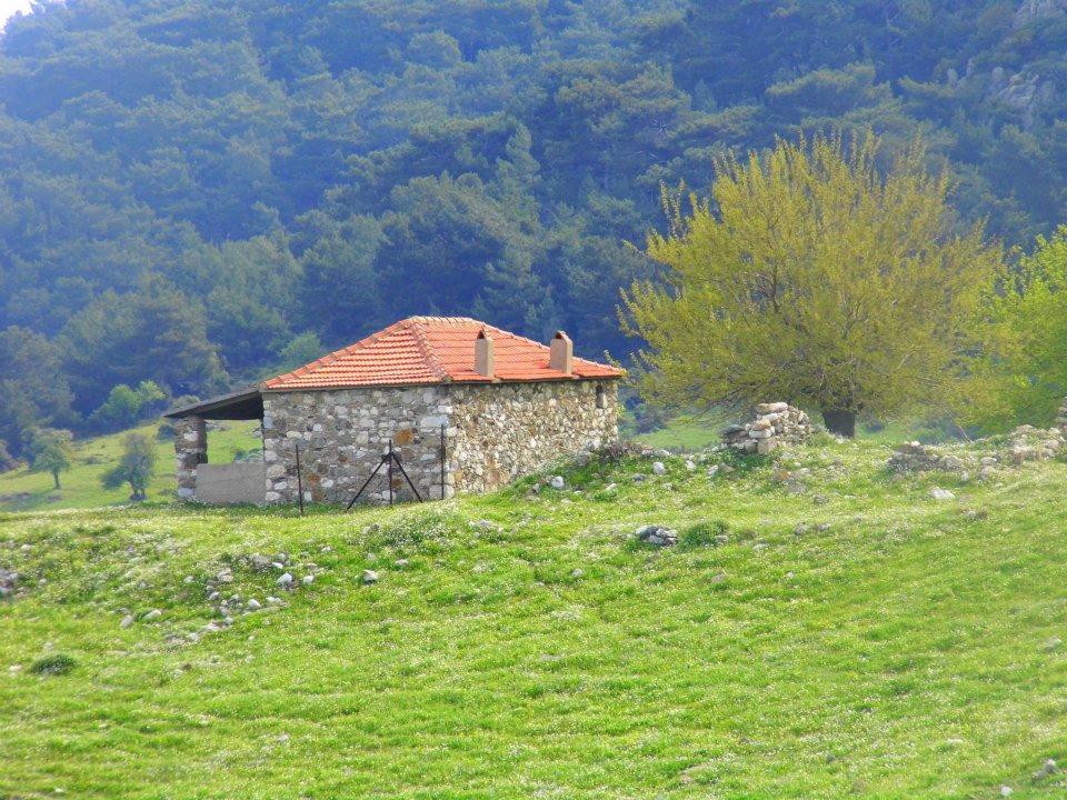 EyyÃƒÂƒÃ‚ÂƒÃƒÂ‚Ã‚Â¼p Selek Objektif 013.jpg