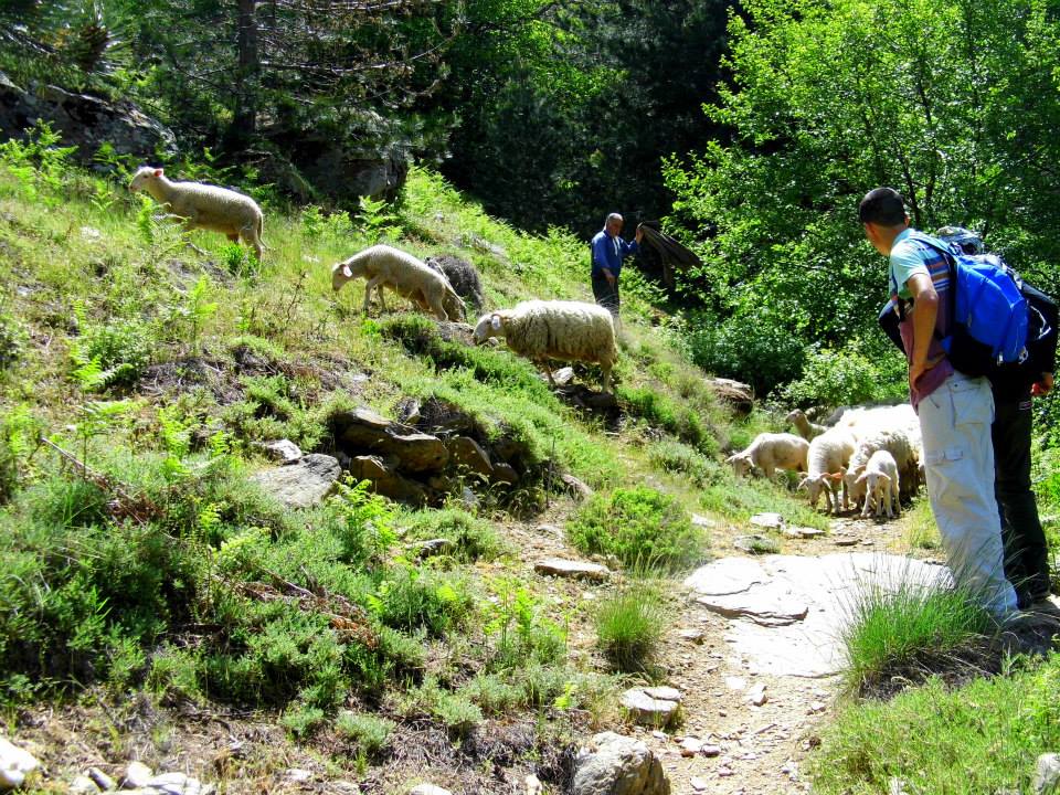 EyyÃƒÂƒÃ‚ÂƒÃƒÂ‚Ã‚Â¼p Selek Objektif 013.jpg