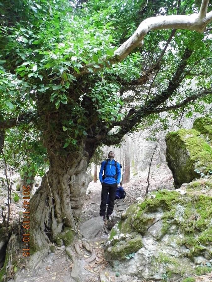 EyyÃƒÂƒÃ‚ÂƒÃƒÂ‚Ã‚Â¼p Selek Objektif - 013.jpg