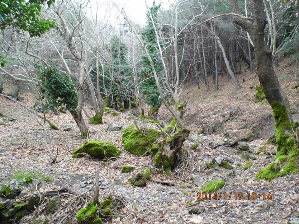 EyyÃƒÂƒÃ‚ÂƒÃƒÂ‚Ã‚Â¼p Selek Objektif - 015.jpg