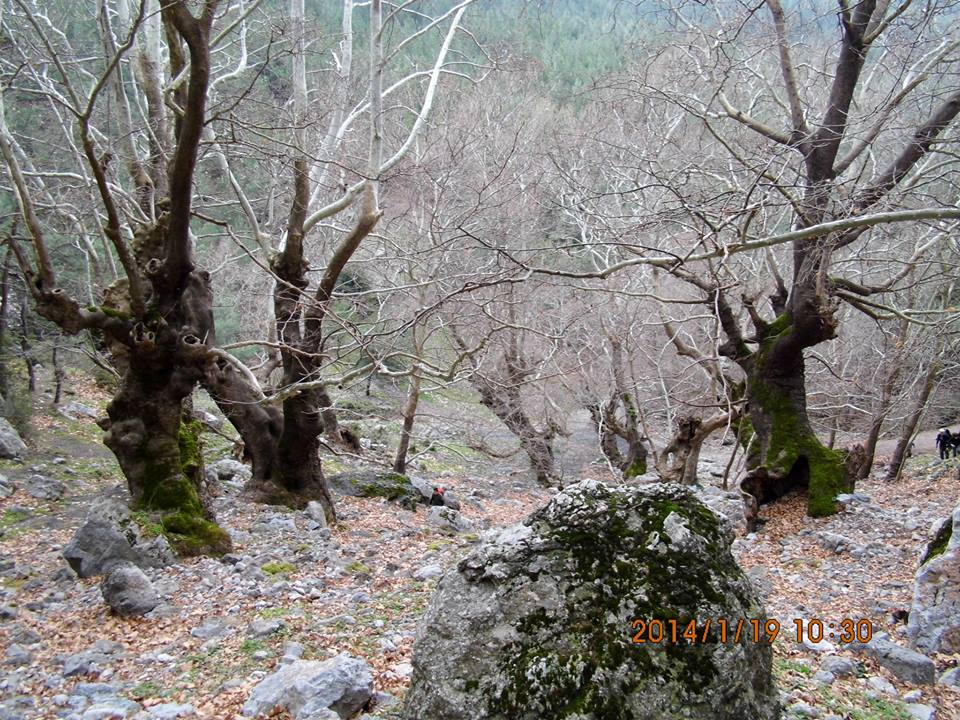 EyyÃƒÂƒÃ‚ÂƒÃƒÂ‚Ã‚Â¼p Selek Objektif - 016.jpg