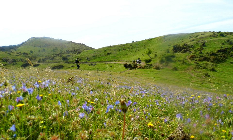 EyyÃƒÂƒÃ‚ÂƒÃƒÂ‚Ã‚Â¼p Selek Objektif 017.jpg