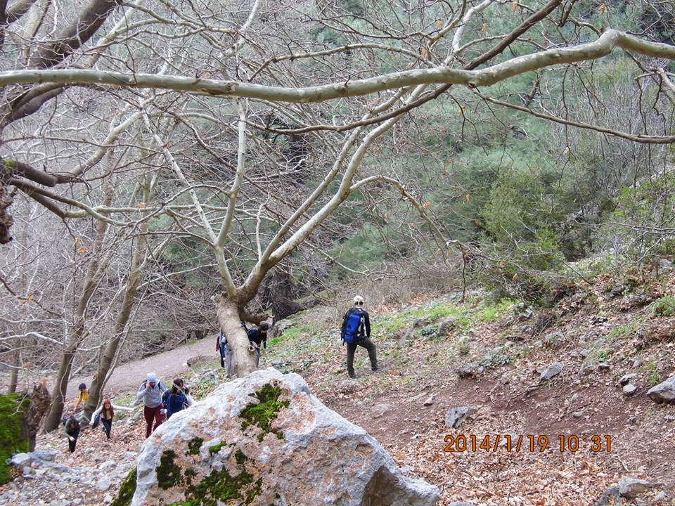 EyyÃƒÂƒÃ‚ÂƒÃƒÂ‚Ã‚Â¼p Selek Objektif - 017.jpg