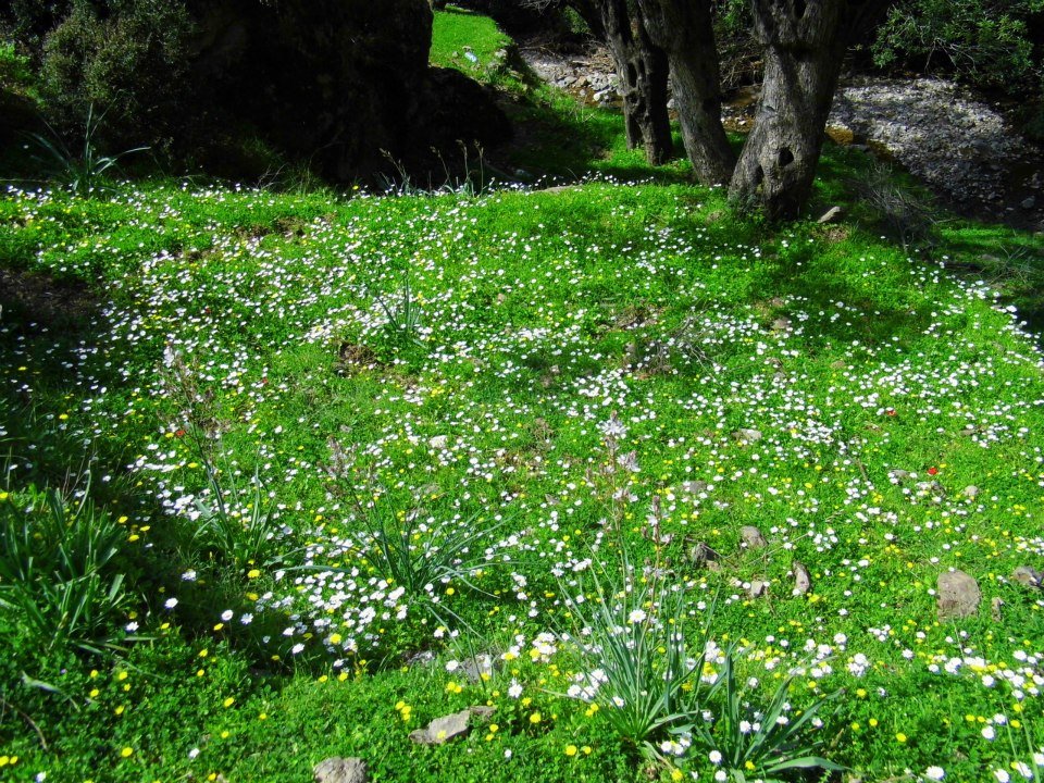 EyyÃƒÂƒÃ‚ÂƒÃƒÂ‚Ã‚Â¼p Selek Objektif 018.jpg
