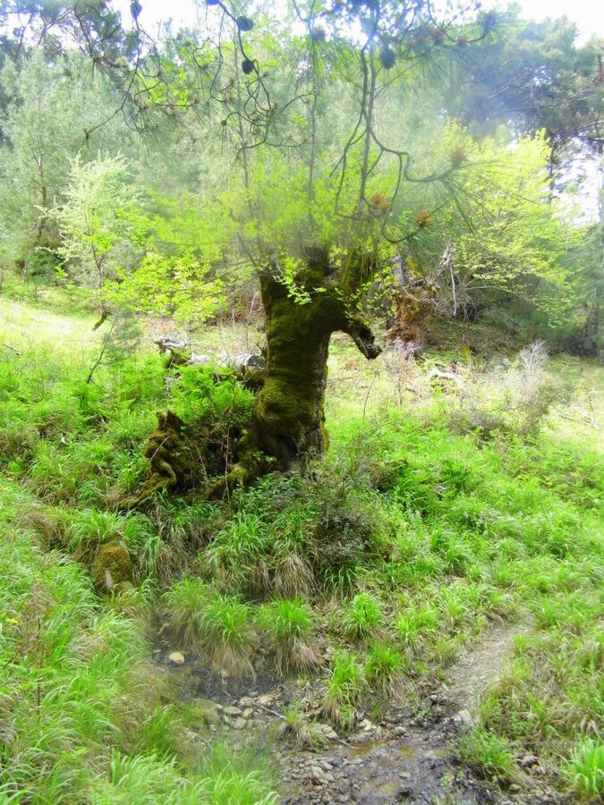 EyyÃƒÂƒÃ‚ÂƒÃƒÂ‚Ã‚Â¼p Selek Objektif 020.jpg