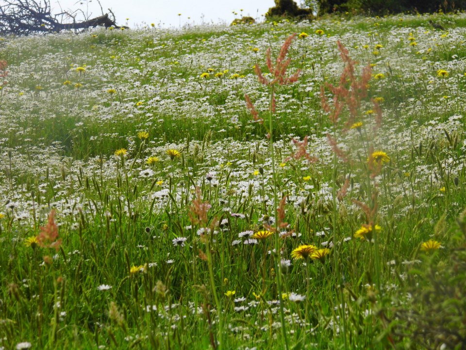 EyyÃƒÂƒÃ‚ÂƒÃƒÂ‚Ã‚Â¼p Selek Objektif 021.jpg