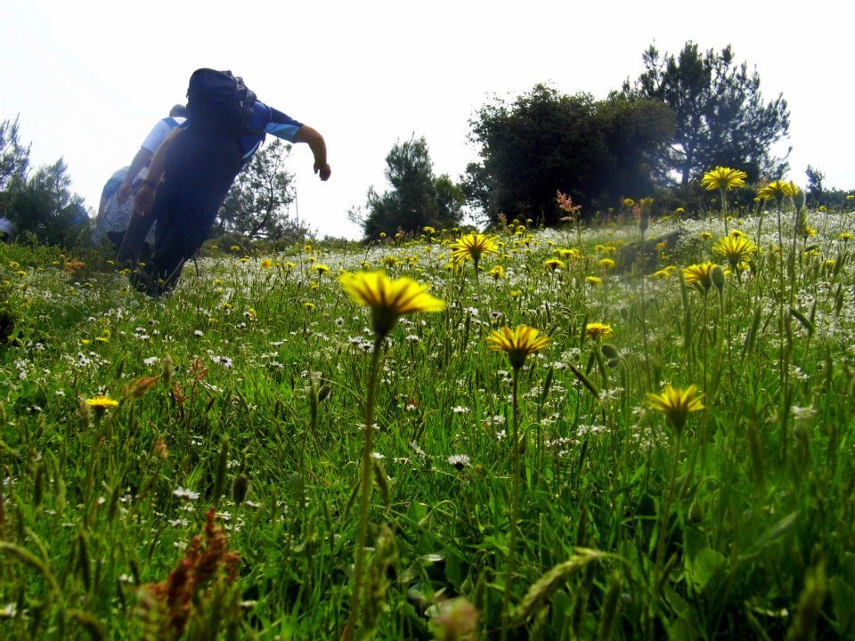 EyyÃƒÂƒÃ‚ÂƒÃƒÂ‚Ã‚Â¼p Selek Objektif 022.jpg