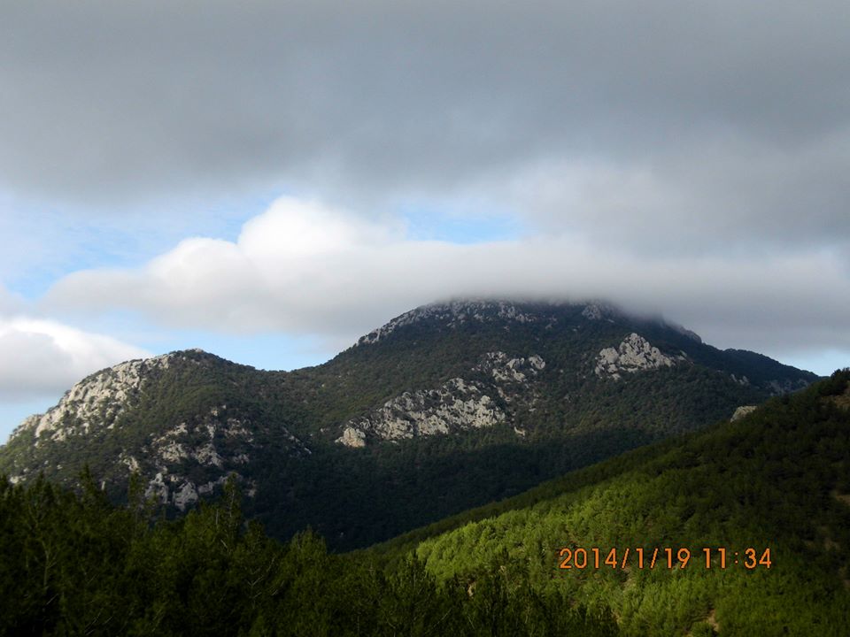 EyyÃƒÂƒÃ‚ÂƒÃƒÂ‚Ã‚Â¼p Selek Objektif - 022.jpg