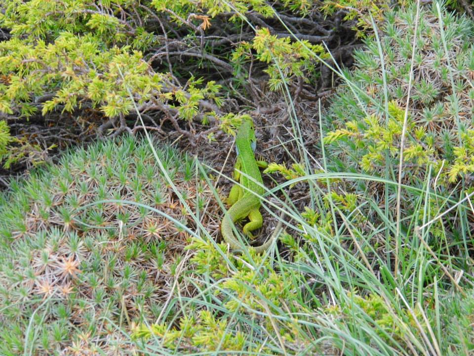 EyyÃƒÂƒÃ‚ÂƒÃƒÂ‚Ã‚Â¼p Selek Objektif 028.jpg