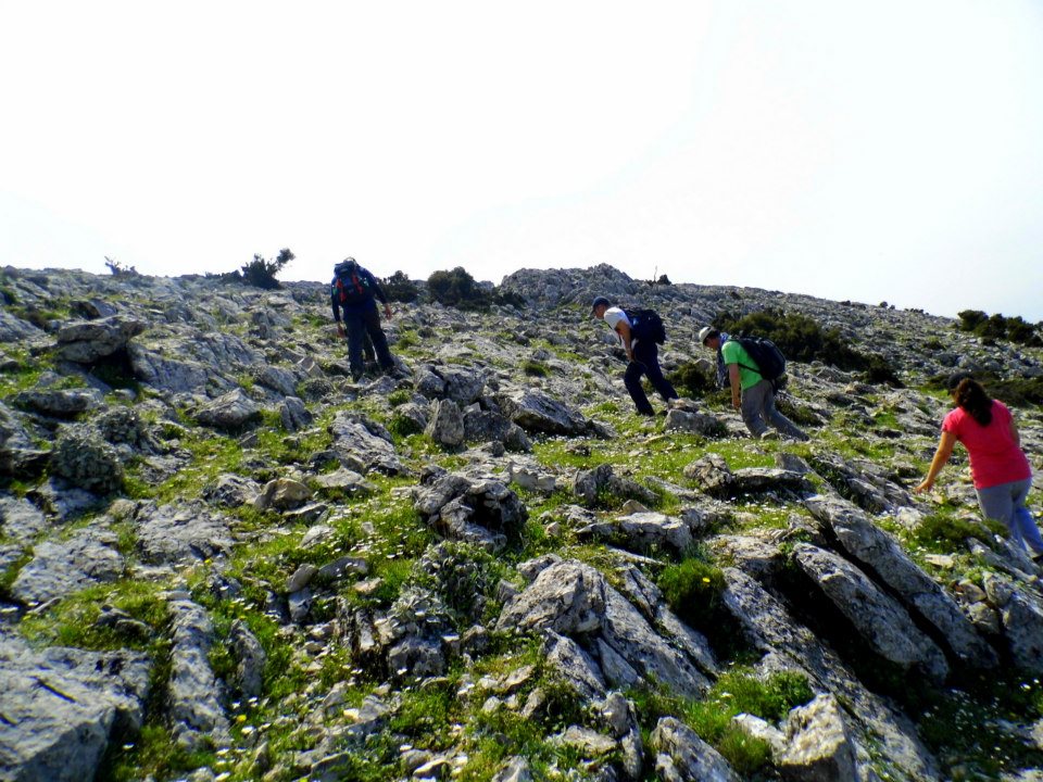 EyyÃƒÂƒÃ‚ÂƒÃƒÂ‚Ã‚Â¼p Selek Objektif 031.jpg