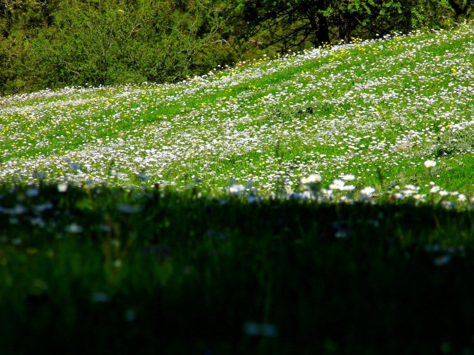 EyyÃƒÂƒÃ‚ÂƒÃƒÂ‚Ã‚Â¼p Selek Objektif 040.jpg