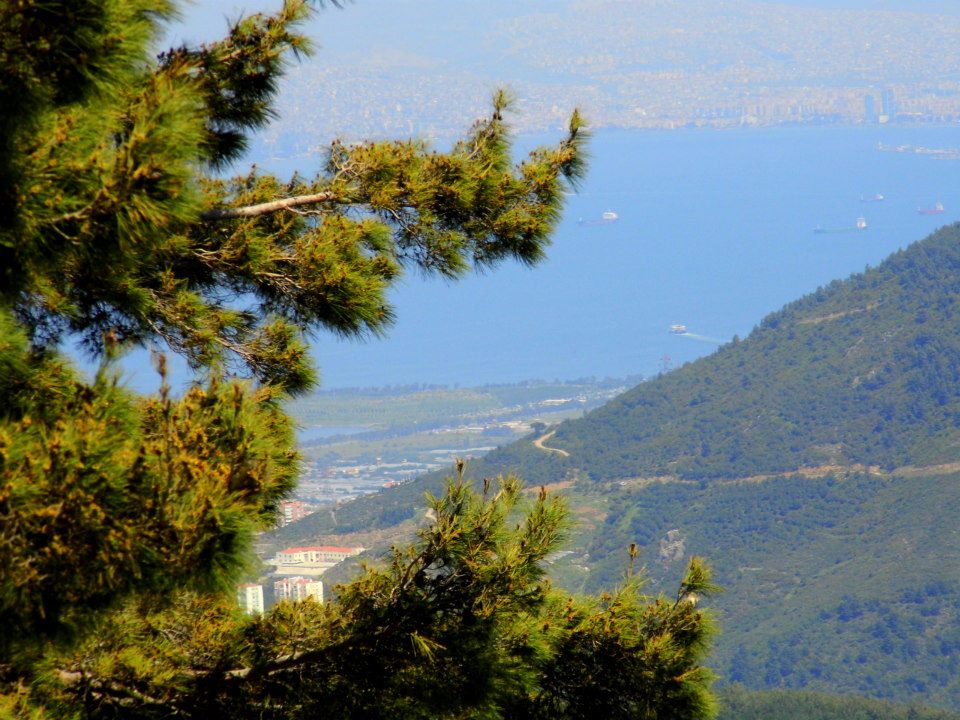 EyyÃƒÂƒÃ‚ÂƒÃƒÂ‚Ã‚Â¼p Selek Objektif 043.jpg