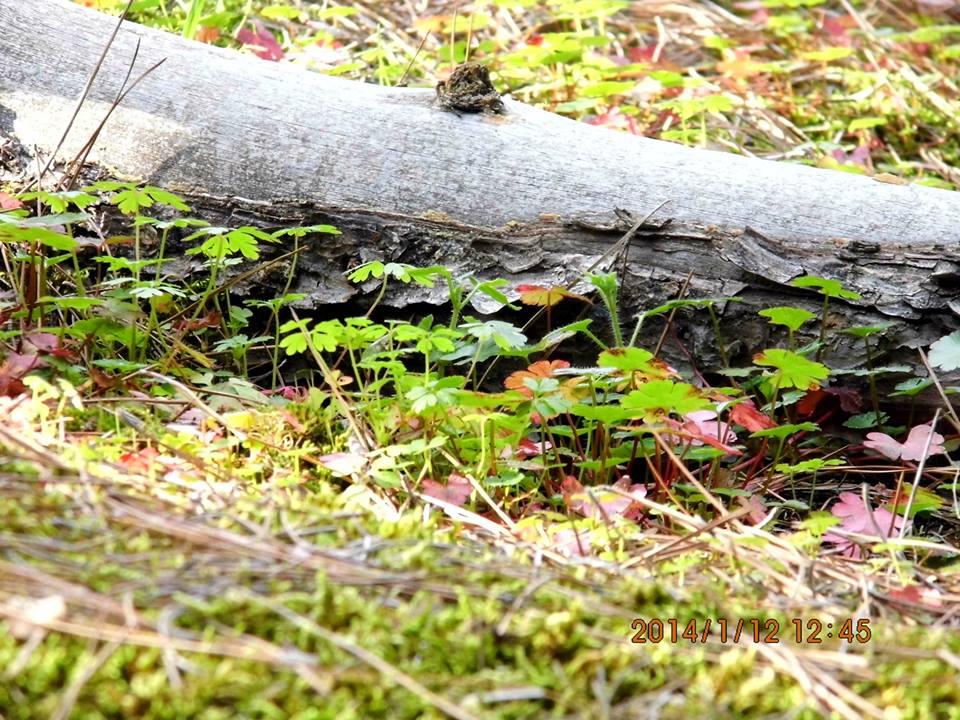 EyyÃƒÂƒÃ‚ÂƒÃƒÂ‚Ã‚Â¼p Selek Objektif 044.jpg