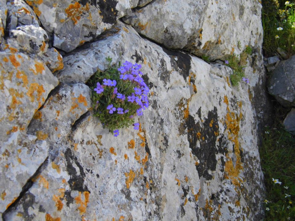 EyyÃƒÂƒÃ‚ÂƒÃƒÂ‚Ã‚Â¼p Selek Objektif 045.jpg