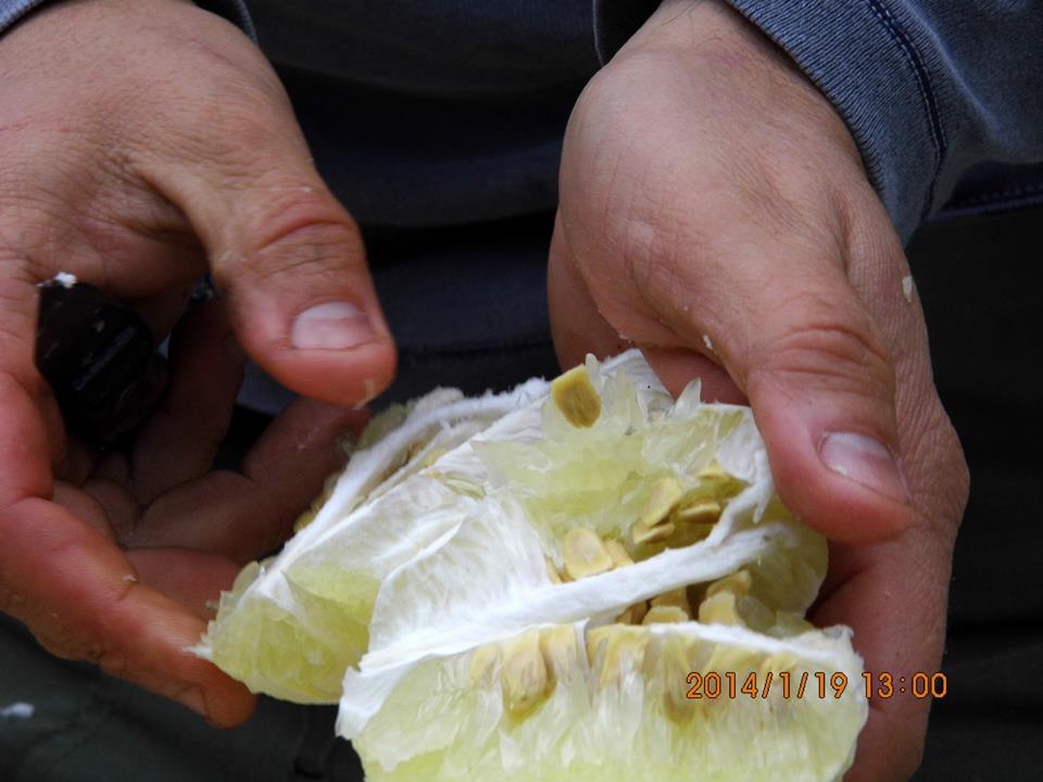 EyyÃƒÂƒÃ‚ÂƒÃƒÂ‚Ã‚Â¼p Selek Objektif - 047.jpg