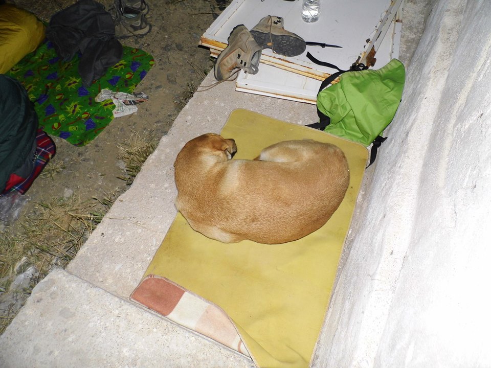 EyyÃƒÂƒÃ‚ÂƒÃƒÂ‚Ã‚Â¼p Selek Objektif 052.jpg