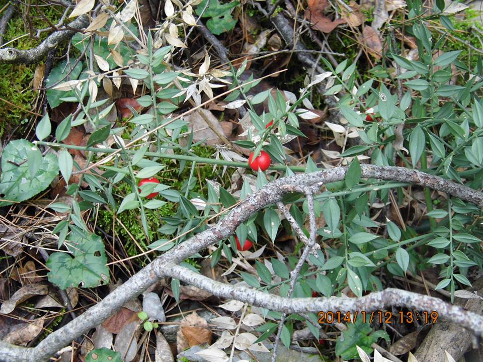 EyyÃƒÂƒÃ‚ÂƒÃƒÂ‚Ã‚Â¼p Selek Objektif 055.jpg