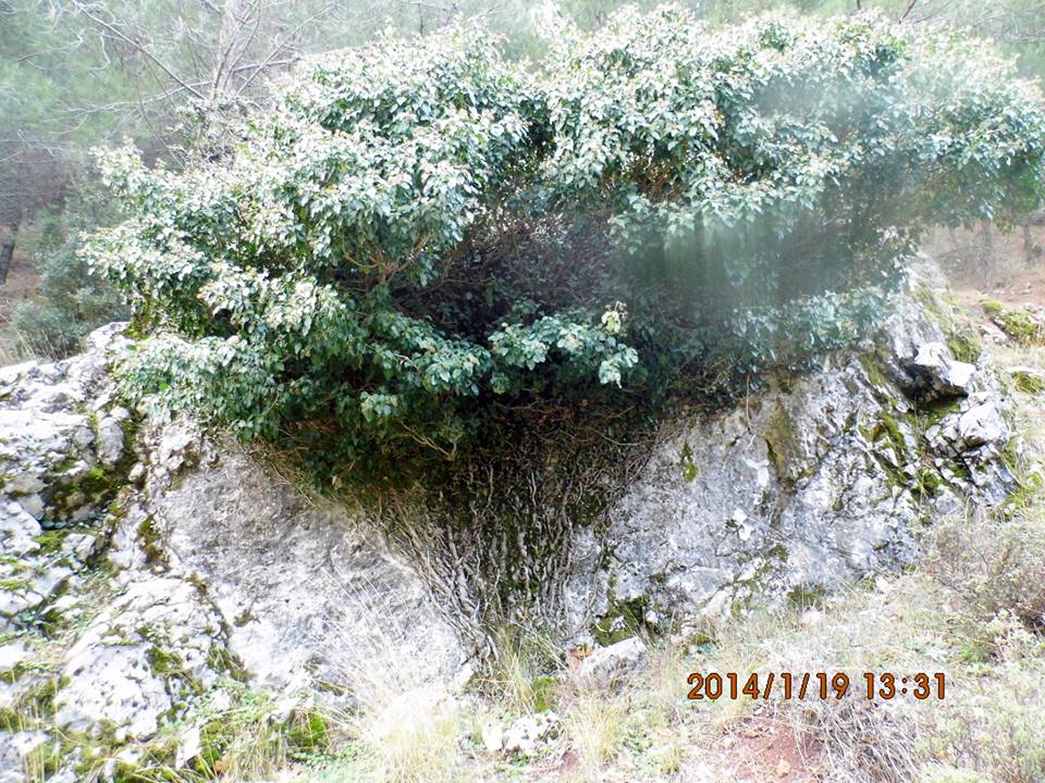 EyyÃƒÂƒÃ‚ÂƒÃƒÂ‚Ã‚Â¼p Selek Objektif - 056.jpg