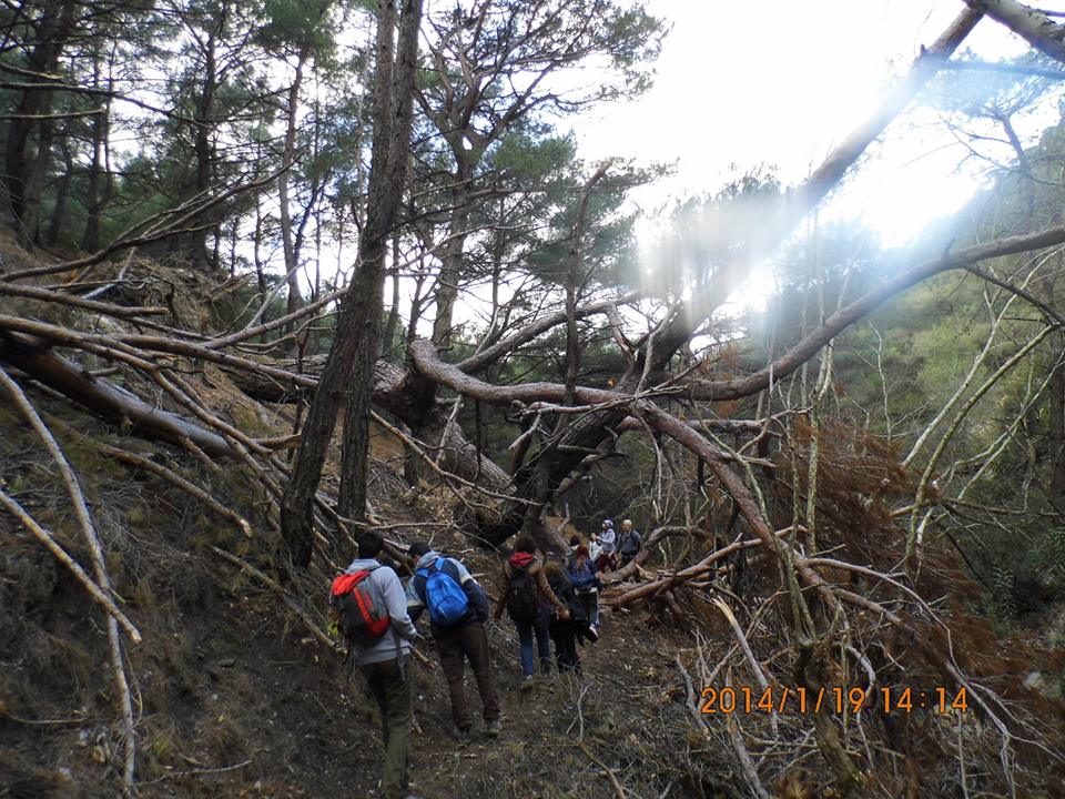 EyyÃƒÂƒÃ‚ÂƒÃƒÂ‚Ã‚Â¼p Selek Objektif - 062.jpg