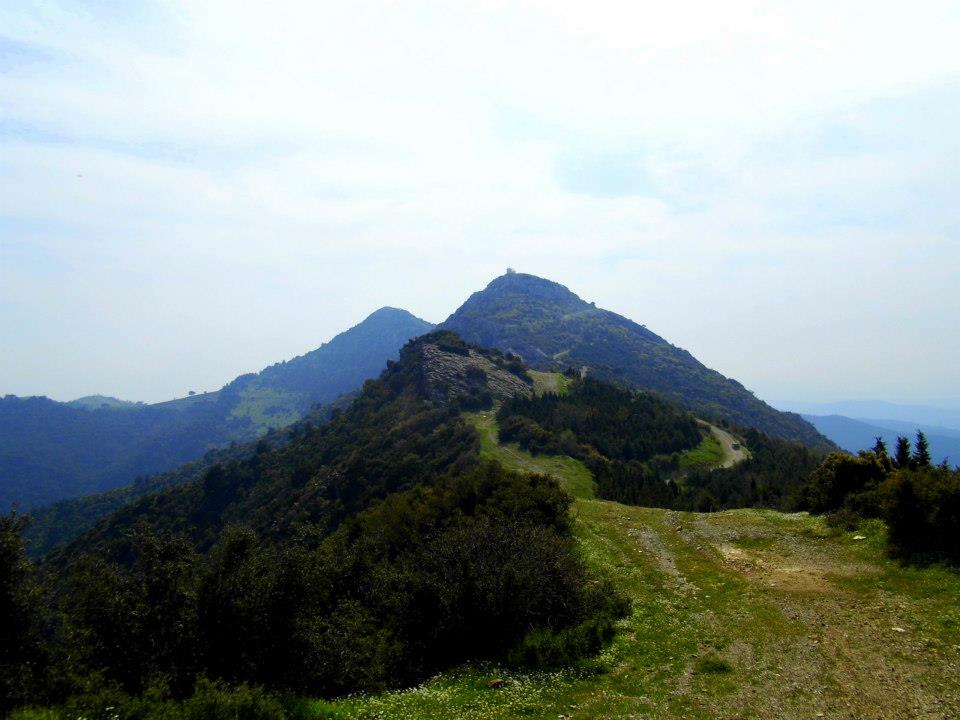 EyyÃƒÂƒÃ‚ÂƒÃƒÂ‚Ã‚Â¼p Selek Objektif 063.jpg