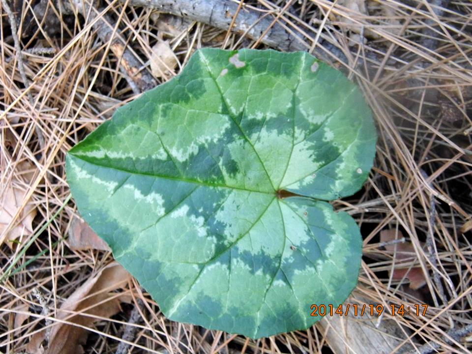 EyyÃƒÂƒÃ‚ÂƒÃƒÂ‚Ã‚Â¼p Selek Objektif - 063.jpg