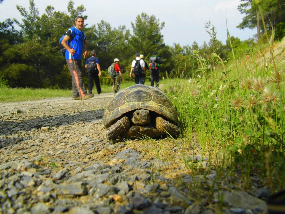 EyyÃƒÂƒÃ‚ÂƒÃƒÂ‚Ã‚Â¼p Selek Objektif 064.jpg