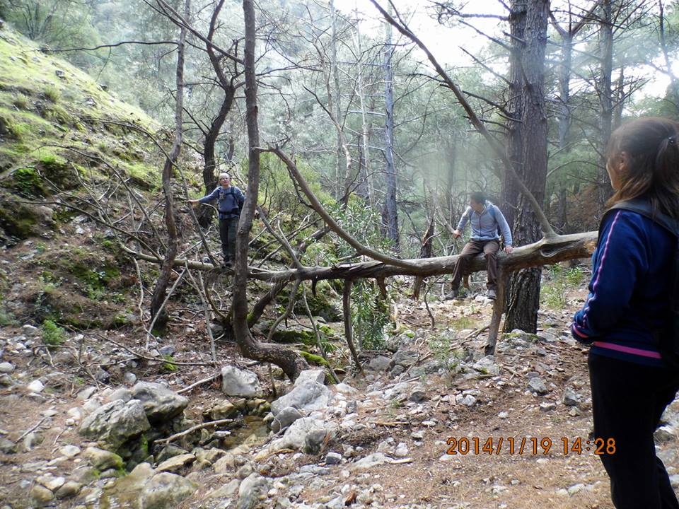 EyyÃƒÂƒÃ‚ÂƒÃƒÂ‚Ã‚Â¼p Selek Objektif - 064.jpg