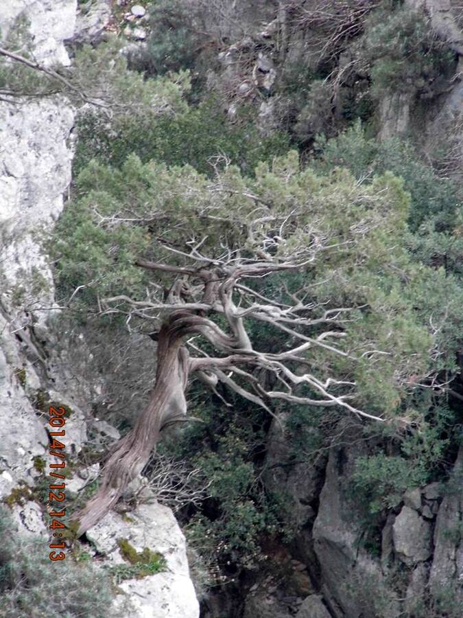 EyyÃƒÂƒÃ‚ÂƒÃƒÂ‚Ã‚Â¼p Selek Objektif 067.jpg