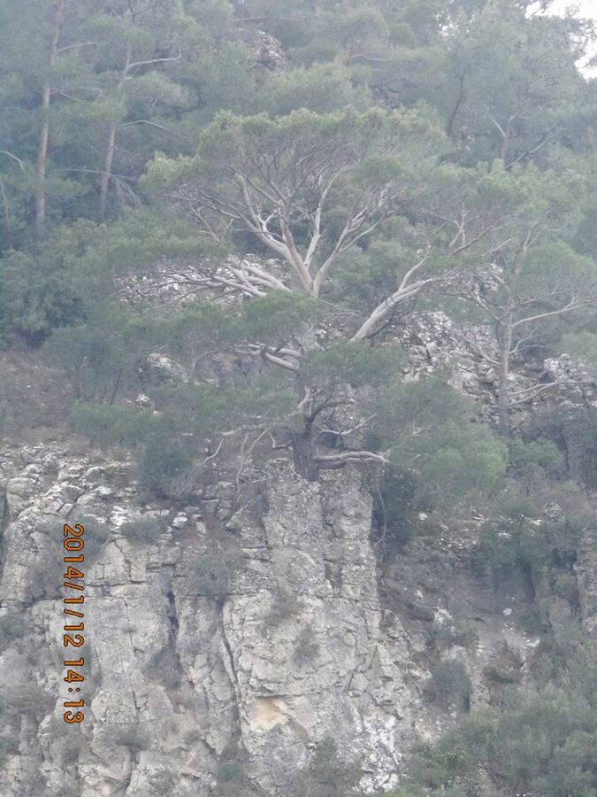 EyyÃƒÂƒÃ‚ÂƒÃƒÂ‚Ã‚Â¼p Selek Objektif 068.jpg