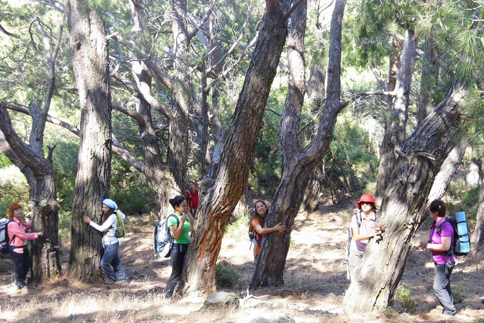 EyyÃƒÂƒÃ‚ÂƒÃƒÂ‚Ã‚Â¼p Selek Objektif 093.jpg