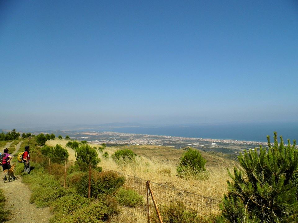 EyyÃƒÂƒÃ‚ÂƒÃƒÂ‚Ã‚Â¼p Selek Objektif 095.jpg