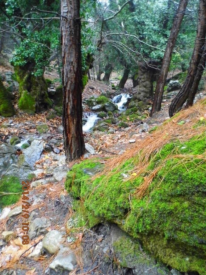 EyyÃƒÂƒÃ‚ÂƒÃƒÂ‚Ã‚Â¼p Selek Objektif - Kaynaklar - 017.jpg