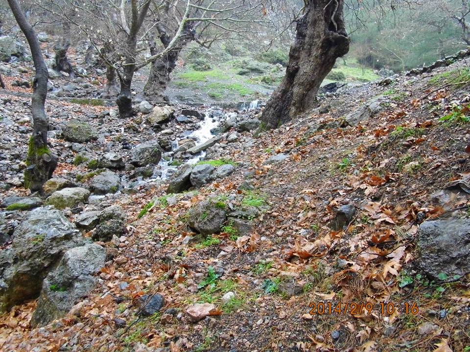 EyyÃƒÂƒÃ‚ÂƒÃƒÂ‚Ã‚Â¼p Selek Objektif - Kaynaklar - 020.jpg