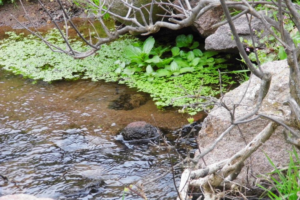 EyyÃƒÂƒÃ‚ÂƒÃƒÂ‚Ã‚Â¼p Selek Objektifi 003.jpg