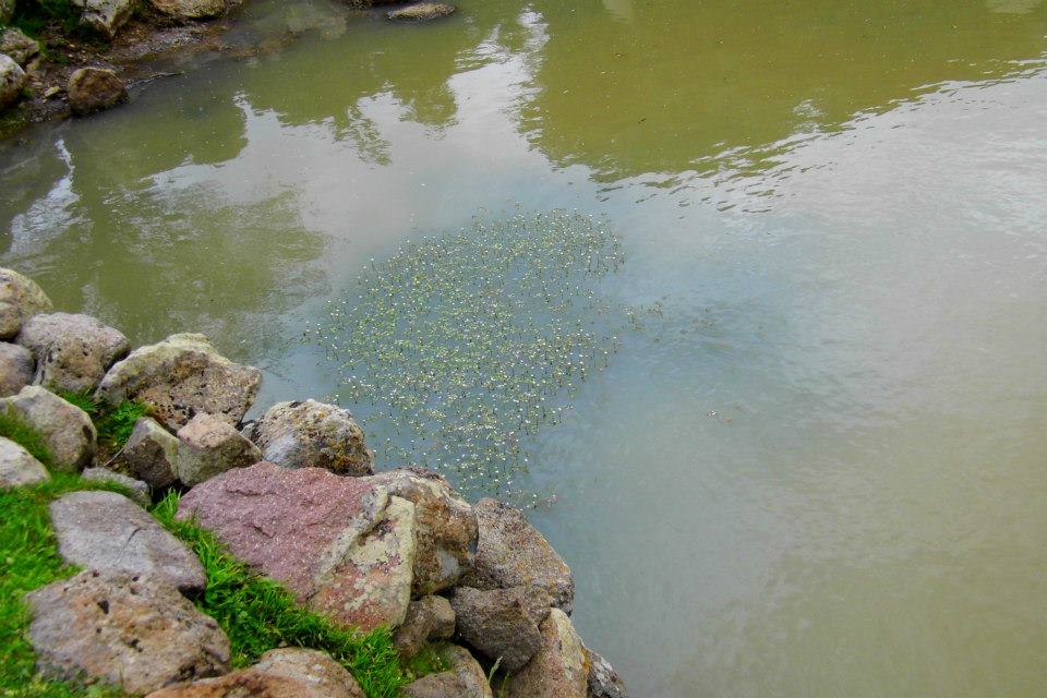 EyyÃƒÂƒÃ‚ÂƒÃƒÂ‚Ã‚Â¼p Selek Objektifi 016.jpg