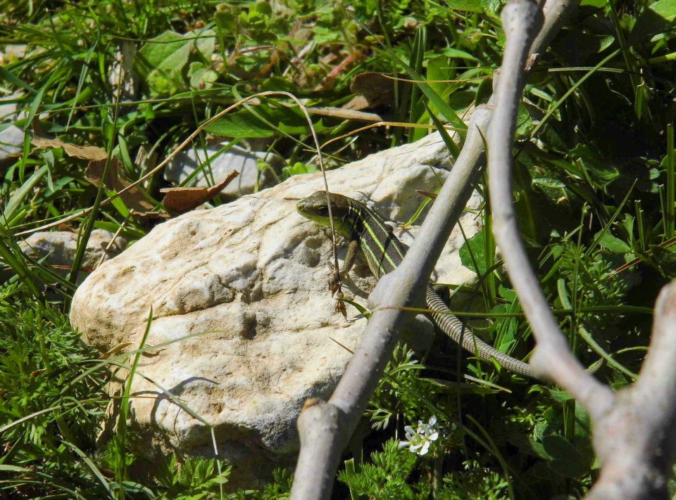 EyyÃƒÂƒÃ‚ÂƒÃƒÂ‚Ã‚Â¼p Selek Objektifi 024.jpg