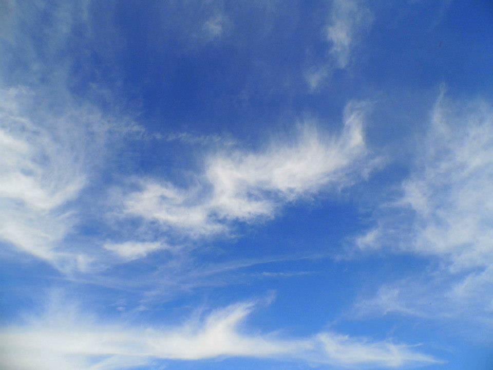 EyyÃƒÂƒÃ‚ÂƒÃƒÂ‚Ã‚Â¼p Selek Objektifi 026.jpg