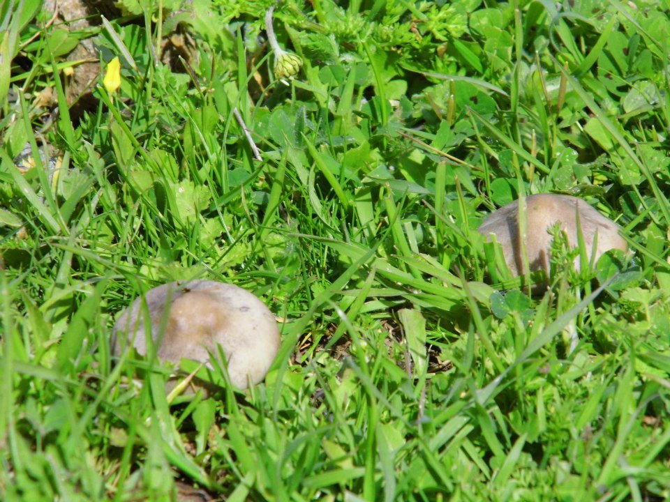 EyyÃƒÂƒÃ‚ÂƒÃƒÂ‚Ã‚Â¼p Selek Objektifi 028.jpg