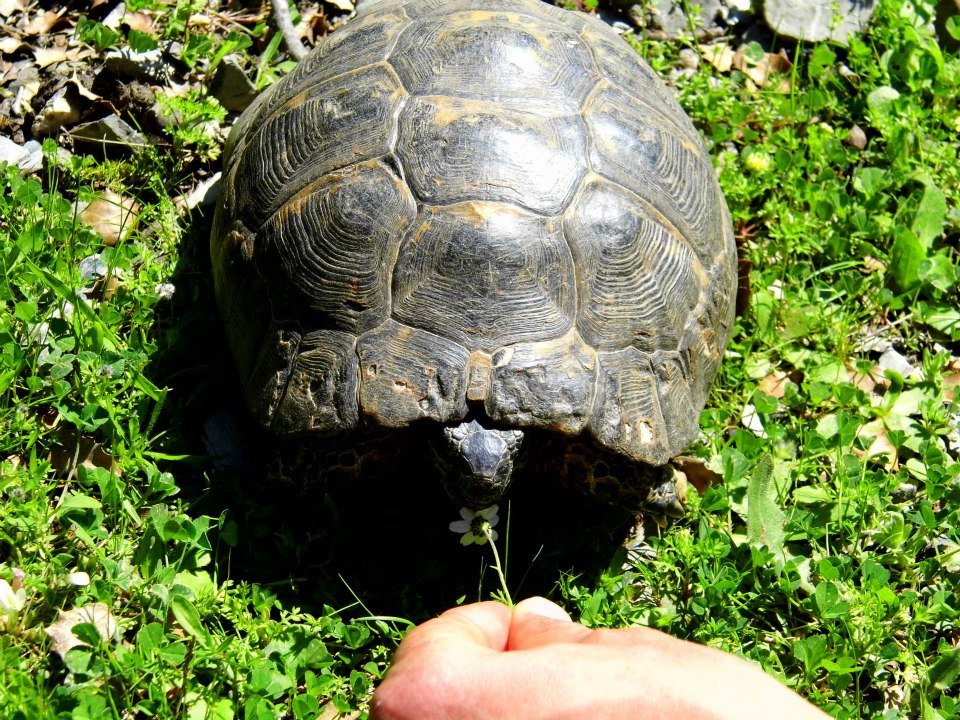 EyyÃƒÂƒÃ‚ÂƒÃƒÂ‚Ã‚Â¼p Selek Objektifi 031.jpg