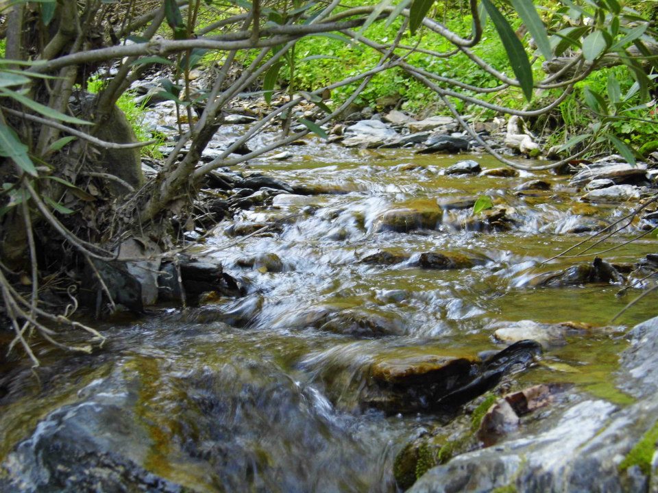 EyyÃƒÂƒÃ‚ÂƒÃƒÂ‚Ã‚Â¼p Selek Objektifi 035.jpg