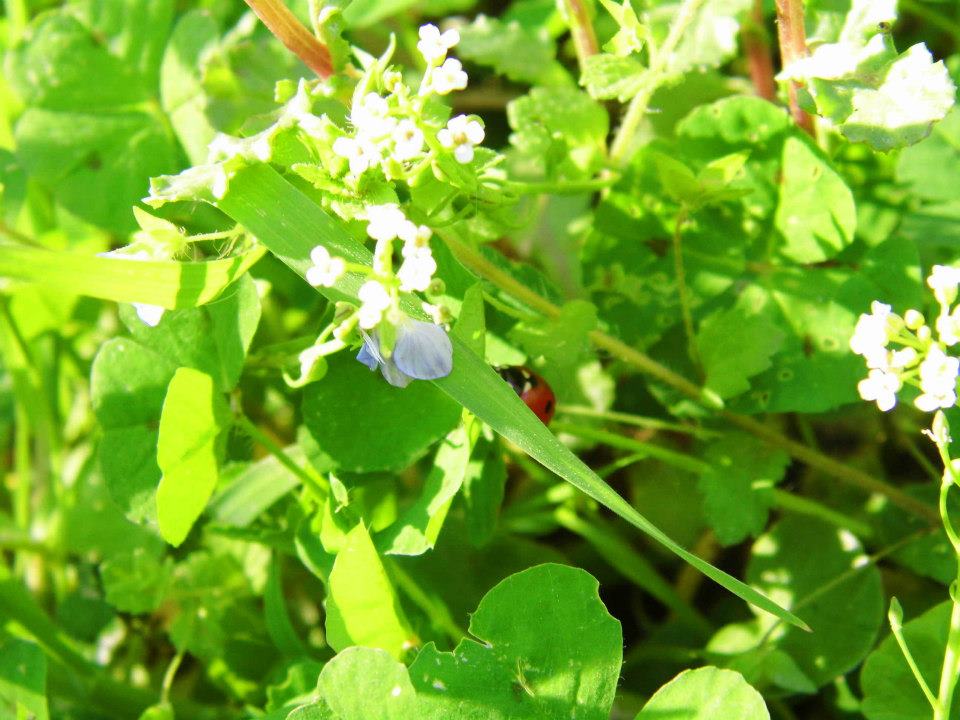 EyyÃƒÂƒÃ‚ÂƒÃƒÂ‚Ã‚Â¼p Selek Objektifi 042.jpg