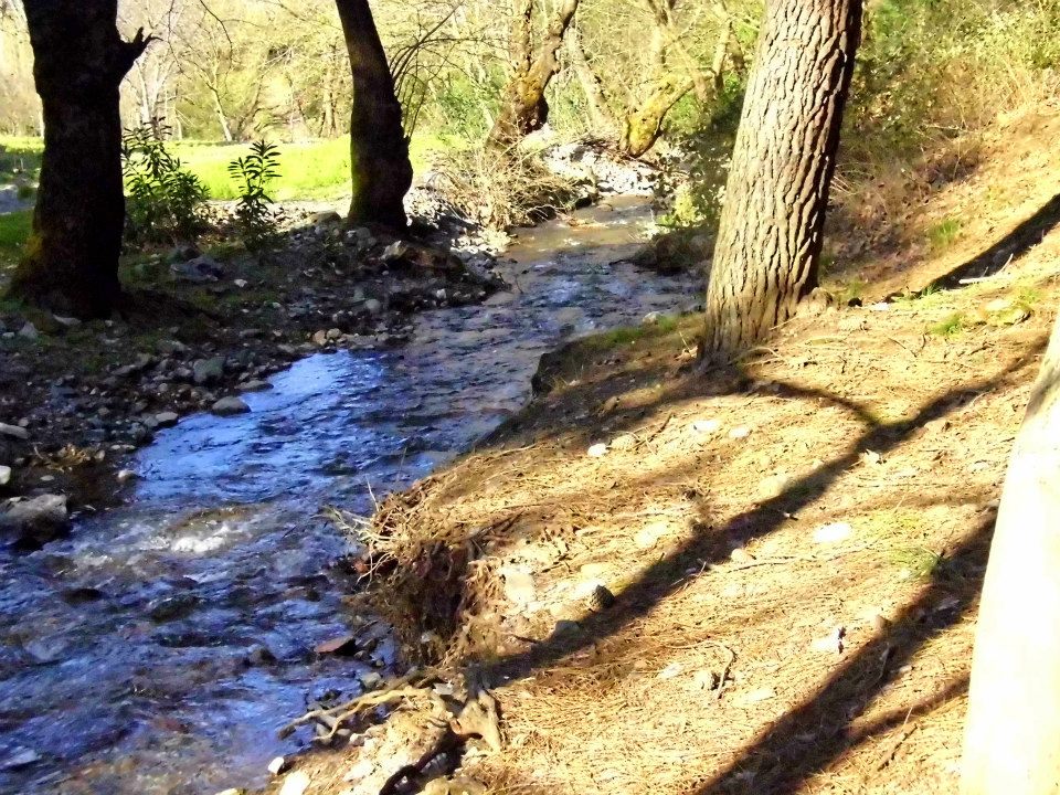 EyyÃƒÂƒÃ‚ÂƒÃƒÂ‚Ã‚Â¼p Selek Objektifi 045.jpg