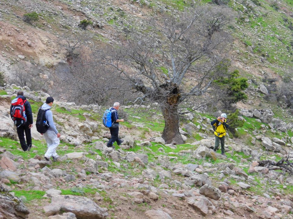 EyyÃƒÂƒÃ‚ÂƒÃƒÂ‚Ã‚Â¼p Selek Objektifi 045.jpg