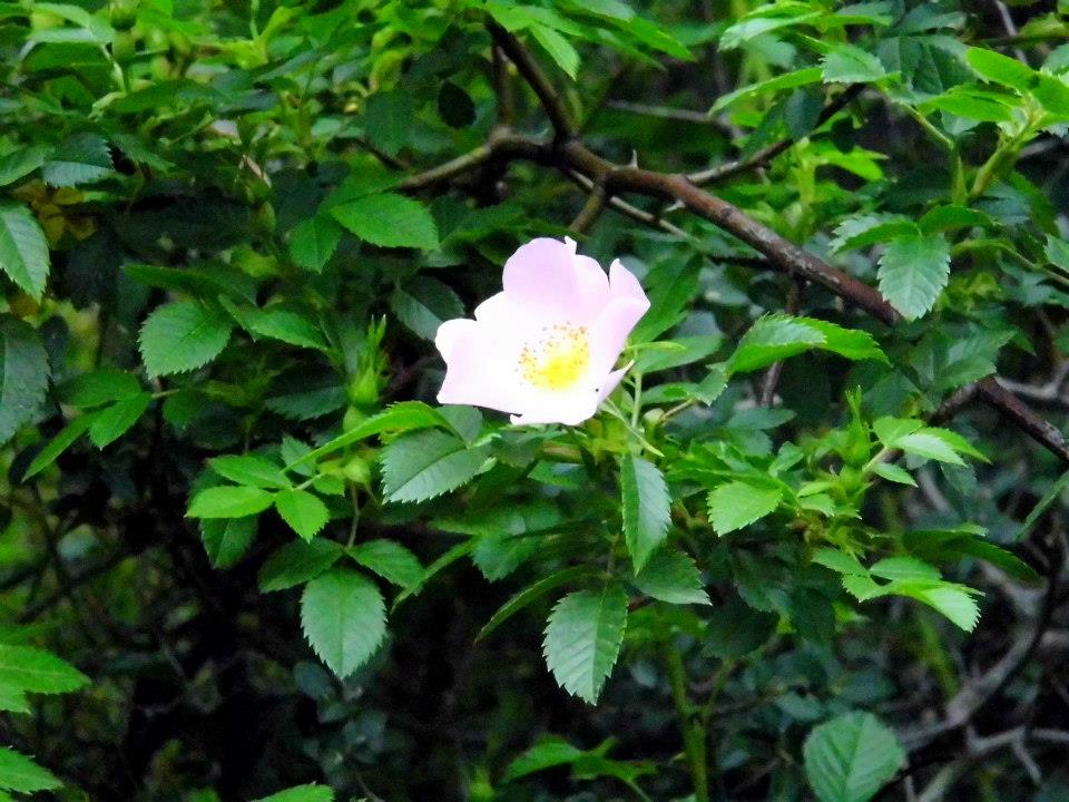 EyyÃƒÂƒÃ‚ÂƒÃƒÂ‚Ã‚Â¼p Selek Objektifi 055.jpg