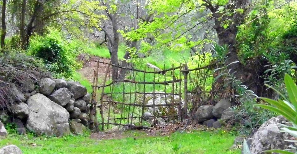 EyyÃƒÂƒÃ‚ÂƒÃƒÂ‚Ã‚Â¼p Selek Objektifi 056.jpg