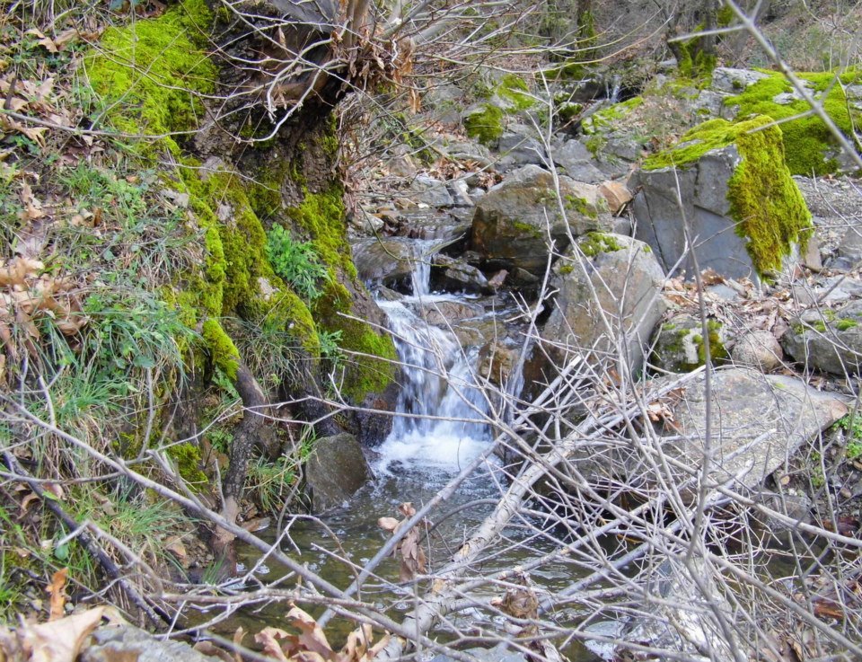 EyyÃƒÂƒÃ‚ÂƒÃƒÂ‚Ã‚Â¼p Selek Photos 019.jpg